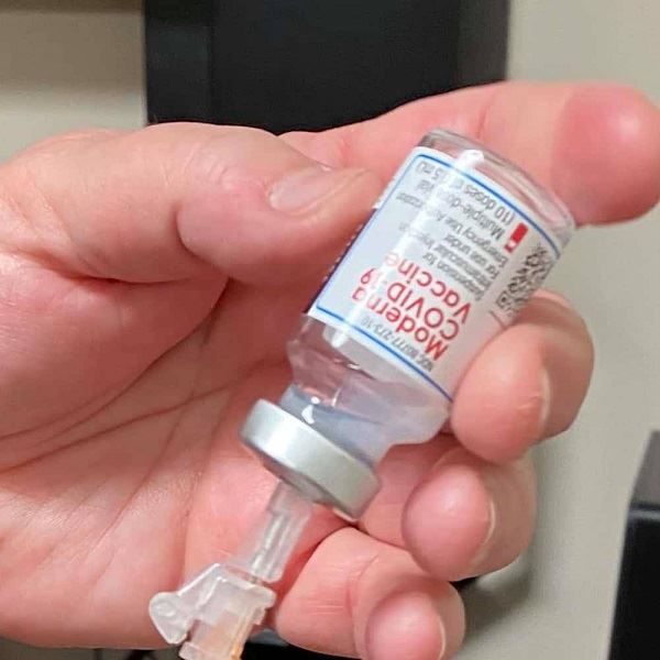 A hand holding a vial of Maderna Vaccine.