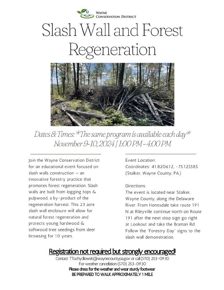 Conservation district forest regeneration flyer