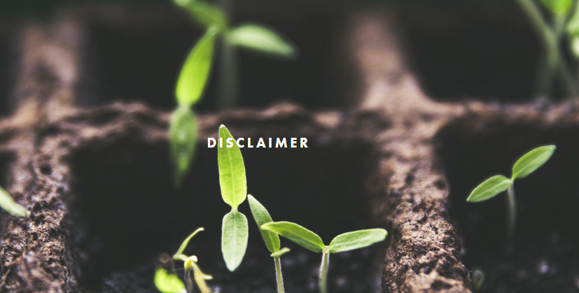 Screenshot 2025-03-28 094851